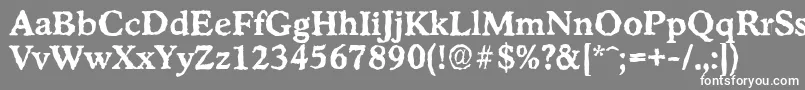 StratfordrandomBold Font – White Fonts on Gray Background
