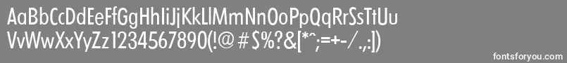 LimerickcdserialRegular Font – White Fonts on Gray Background