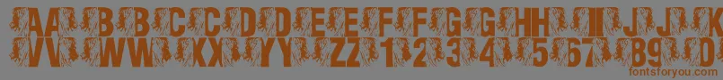 Czcionka LmsKingOfTheFontJungle – brązowe czcionki na szarym tle