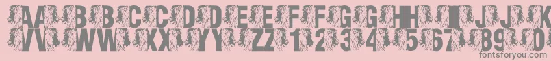 LmsKingOfTheFontJungle Font – Gray Fonts on Pink Background