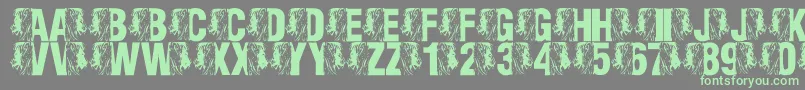 LmsKingOfTheFontJungle Font – Green Fonts on Gray Background