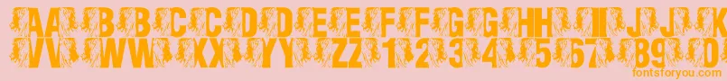 LmsKingOfTheFontJungle-Schriftart – Orangefarbene Schriften auf rosa Hintergrund