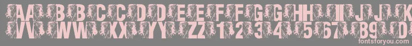 LmsKingOfTheFontJungle Font – Pink Fonts on Gray Background