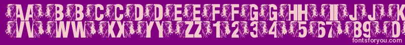 LmsKingOfTheFontJungle Font – Pink Fonts on Purple Background