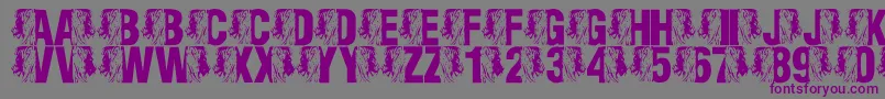 フォントLmsKingOfTheFontJungle – 紫色のフォント、灰色の背景