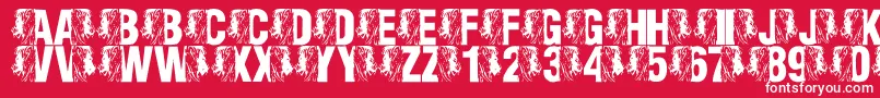 LmsKingOfTheFontJungle Font – White Fonts on Red Background