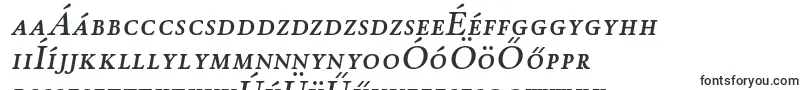 WinthorpescsbItalic-Schriftart – ungarische Schriften