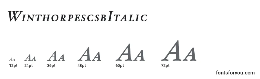 Размеры шрифта WinthorpescsbItalic