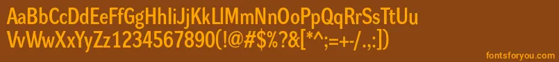 DynagrotesklmBold Font – Orange Fonts on Brown Background