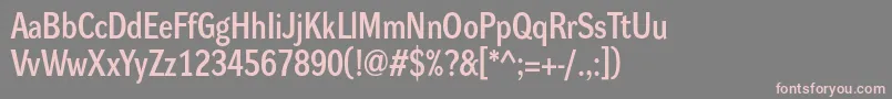 DynagrotesklmBold Font – Pink Fonts on Gray Background