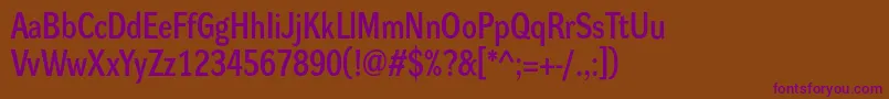 DynagrotesklmBold Font – Purple Fonts on Brown Background
