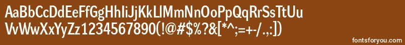 DynagrotesklmBold Font – White Fonts on Brown Background