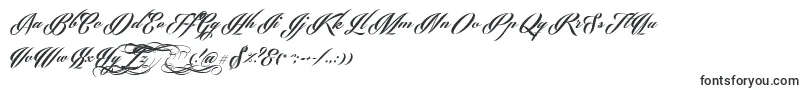 PhraellDemo Font – Fonts for Adobe Illustrator