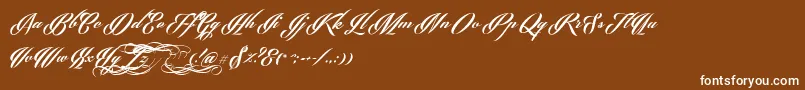 PhraellDemo Font – White Fonts on Brown Background