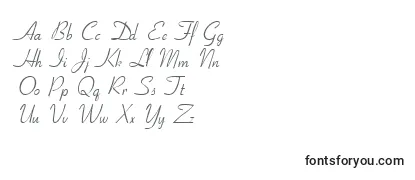 Обзор шрифта Cyrillicribbon