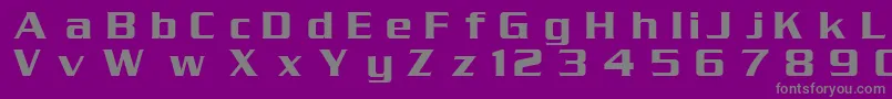 DgSerpentine-Schriftart – Graue Schriften auf violettem Hintergrund