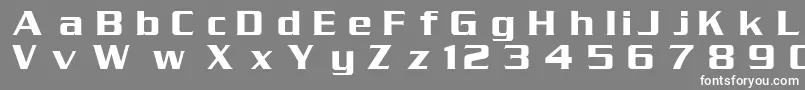 DgSerpentine Font – White Fonts on Gray Background