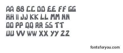 Обзор шрифта Rapadura