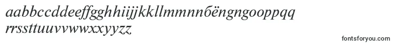 NewtonisocttItalic Font – Filipino Fonts