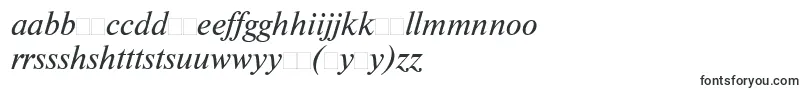 フォントNewtonisocttItalic – ハウスフォント