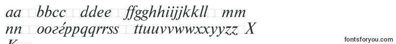NewtonisocttItalic Font – Polish Fonts