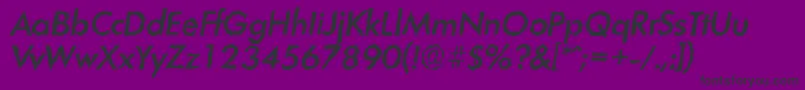 LimerickrandomMediumItalic Font – Black Fonts on Purple Background