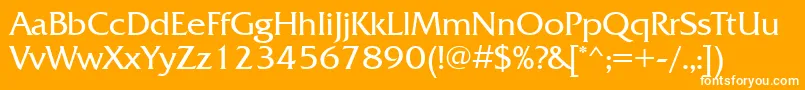 フォントFrq55C – オレンジの背景に白い文字