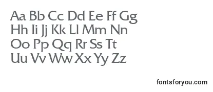 Обзор шрифта Frq55C