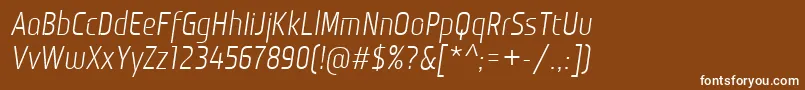 MonitoricaIt Font – White Fonts on Brown Background