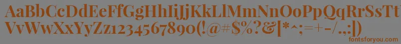 PlayfairdisplayBold Font – Brown Fonts on Gray Background