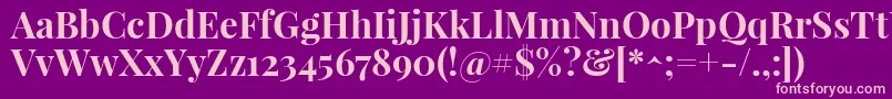 PlayfairdisplayBold Font – Pink Fonts on Purple Background