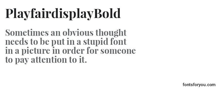 Review of the PlayfairdisplayBold Font