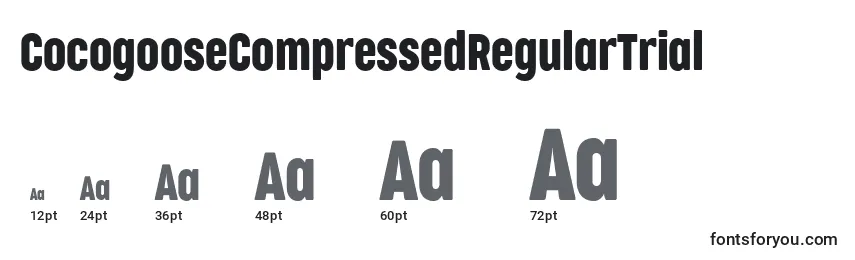 Größen der Schriftart CocogooseCompressedRegularTrial