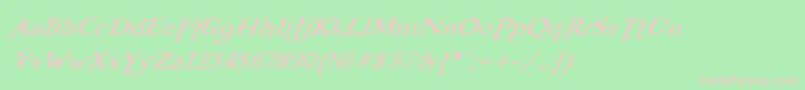 BooterFiveOne Font – Pink Fonts on Green Background