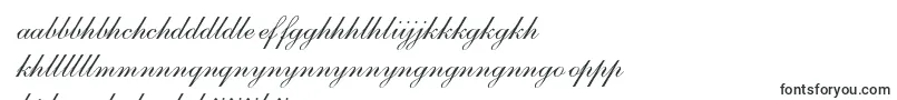 S721ScriptOneRegular Font – Sotho Fonts
