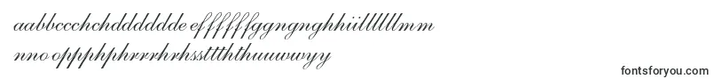 S721ScriptOneRegular-fontti – walesilaiset fontit