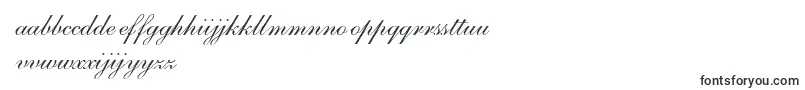 S721ScriptOneRegular Font – Dutch Fonts