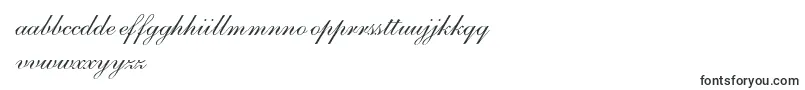 S721ScriptOneRegular Font – Irish Fonts