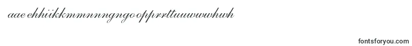 S721ScriptOneRegular Font – Maori Fonts