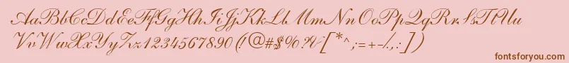 fuente S721ScriptOneRegular – Fuentes Marrones Sobre Fondo Rosa