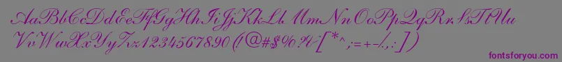 S721ScriptOneRegular Font – Purple Fonts on Gray Background
