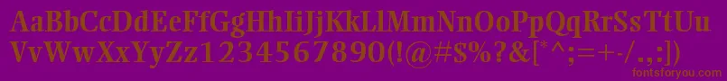 EllingtonmtstdBold Font – Brown Fonts on Purple Background