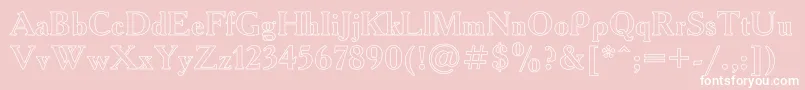 AAdemyHo Font – White Fonts on Pink Background