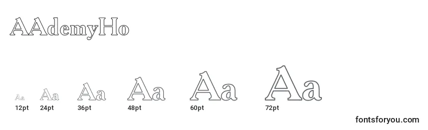 AAdemyHo Font Sizes