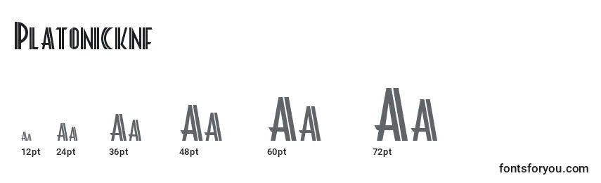 Размеры шрифта Platonicknf