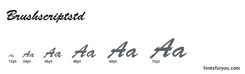 Brushscriptstd Font Sizes