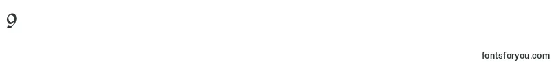 Pehuensito Font – Fonts for Digit 9