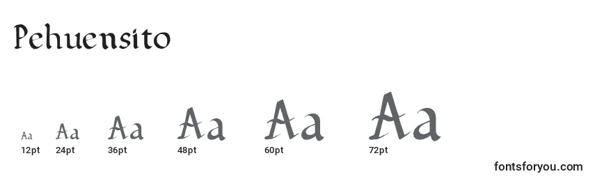 Pehuensito Font Sizes