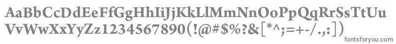 フォントArnoproBold10pt – 白い背景に灰色の文字