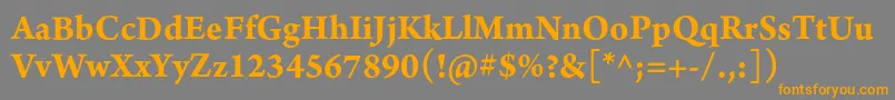 フォントArnoproBold10pt – オレンジの文字は灰色の背景にあります。